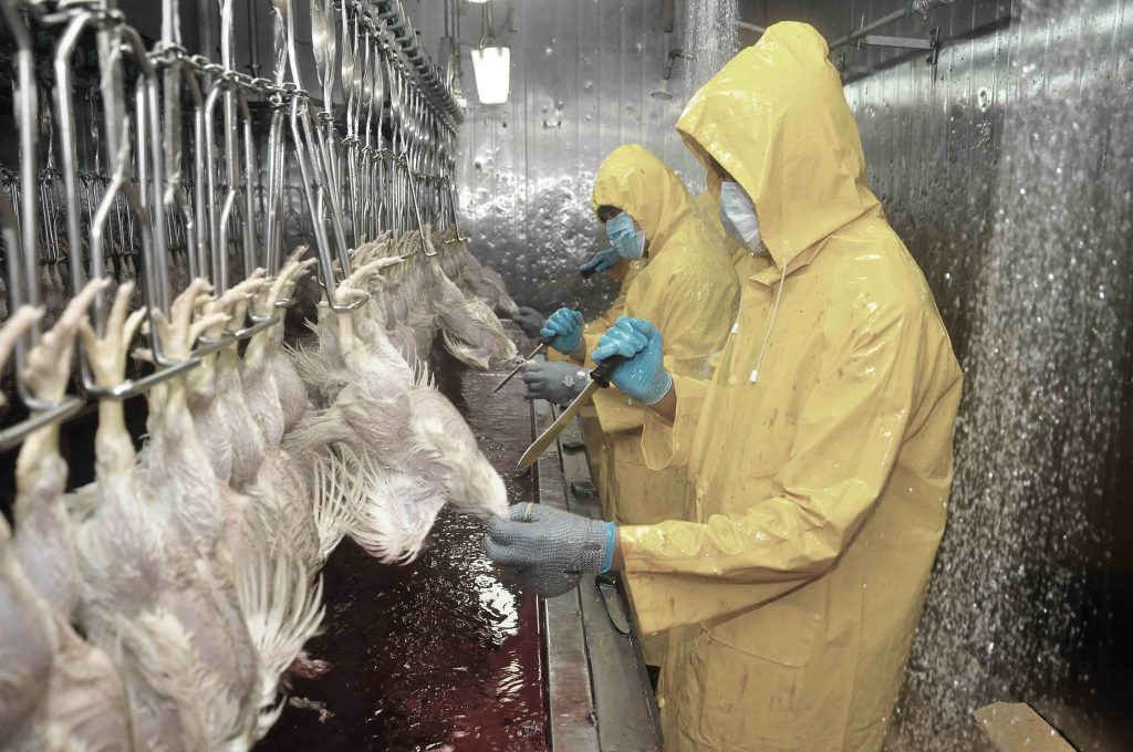 Bismillah Allahu Akbar1 Hlrb Processing Sdn Bhd